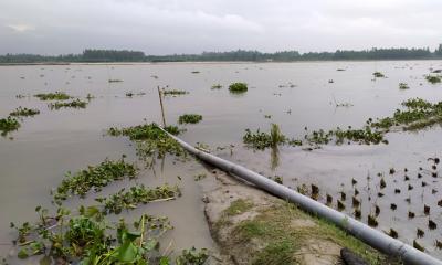 ব্রহ্মপুত্র, ধরলা ও তিস্তার পানি বেড়েছে