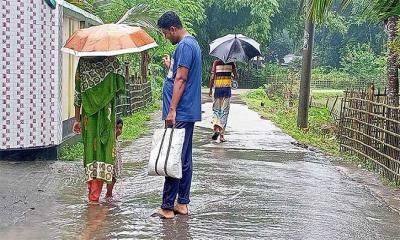 টানা বৃষ্টিতে প্লাবিত পঞ্চগড়ের নিম্নাঞ্চল