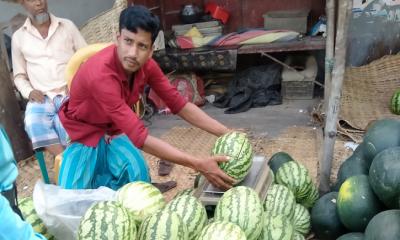 নিষেধাজ্ঞা সত্ত্বেও কেজিতে তরমুজ বিক্রি  