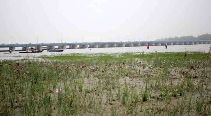 ফের বেড়েছে তিস্তার পানি