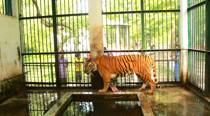 ১৬ দিন অভুক্ত থেকে শাওনের মৃত্যু 