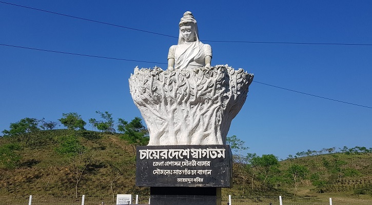 শ্রীমঙ্গলের ‘চা-কন্যা ভাস্কর্য’