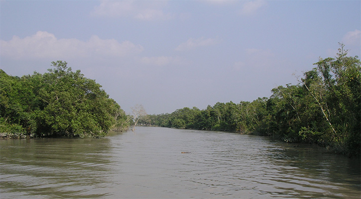 দ্রুত গতিতে এগোচ্ছে নির্মাণ কাজ