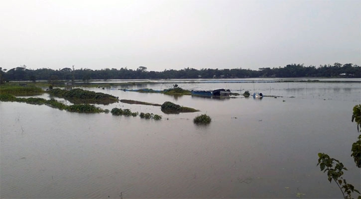 পাহাড়ি ঢলে প্লাবিত নেত্রকোনার বিভিন্ন এলাকা