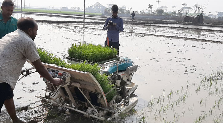 সাতক্ষীরায় যন্ত্রের মাধ্যমে বোরোর চাষাবাদ শুরু