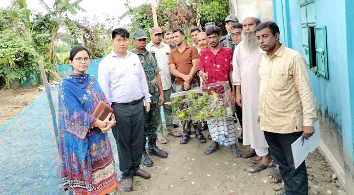 আকাশে উড়ল ৩৫০টি মুনিয়া, টিয়া ও শালিক