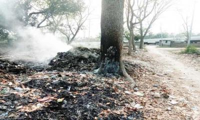 বর্জ্যে দেওয়া আগুনে পুড়ছে রাবির গাছপালা