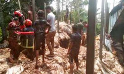 পাটের গুদামে আগুন, অর্ধকোটি টাকার ক্ষতি