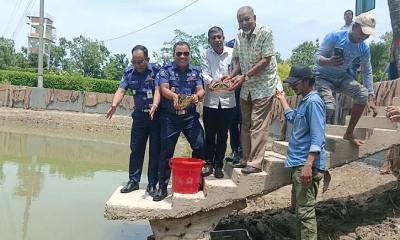 বিলুপ্ত প্রজাতির শতাধিক কচ্ছপসহ গ্রেপ্তার ১