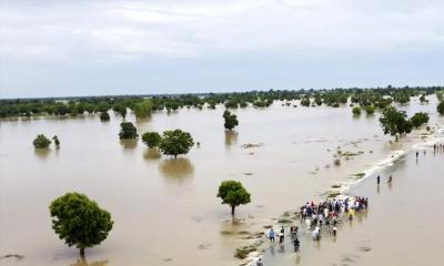 নাইজেরিয়ায় নৌকাডুবিতে নিহত ১০, নিখোঁজ ৬০