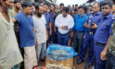 চিংড়িতে জেলি: দুই মাছ ব্যবসায়ীকে কারাদণ্ড