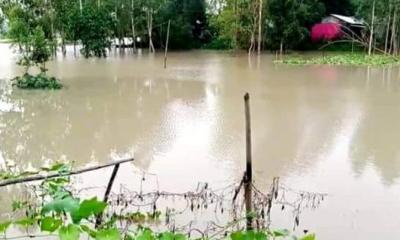 ‘যমুনা বাদে সব নদ-নদীর পানি বৃদ্ধি অব্যাহত থাকতে পারে’