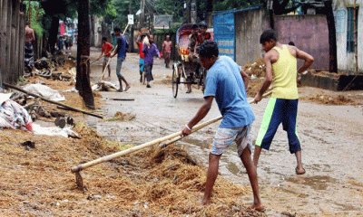 কোরবানির পর চারপাশে জীবাণুমুক্ত রাখবেন যেভাবে