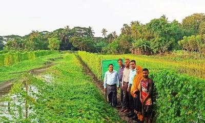 জিকেএসপির প্রকল্প পরিদর্শন করেছেন মহাপরিচালক