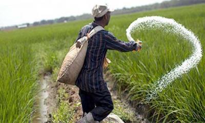 সারের দাম কেজিতে বাড়ল ৫ টাকা