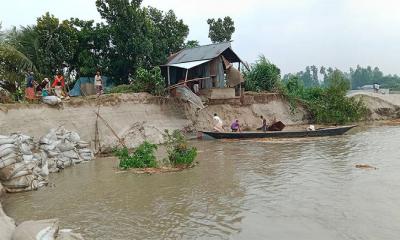 যমুনার ভাঙনে দিশেহারা সিরাজগঞ্জের মানুষ