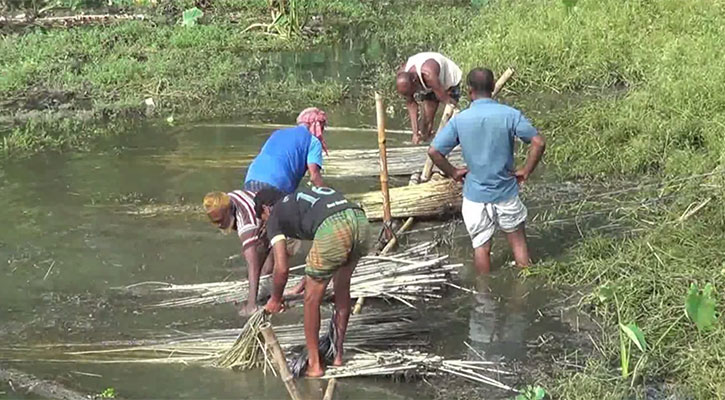 পাটের ন্যায্য মূল্য নিয়ে শঙ্কিত কৃষক