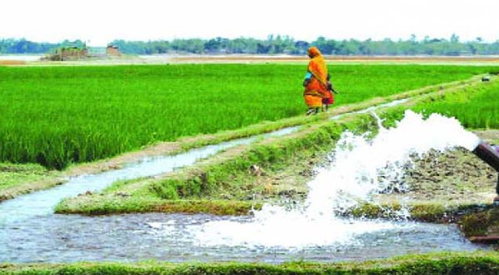 বিদ্যুৎ নিয়ে কৃষকদের জন্য সুখবর