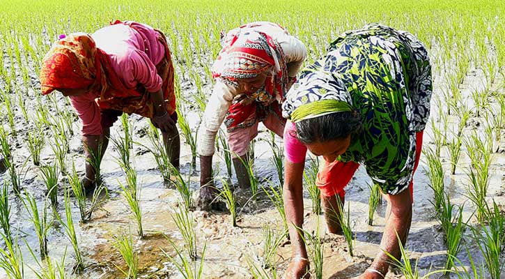 বৈষম্যের শিকার নারী শ্রমিকরা