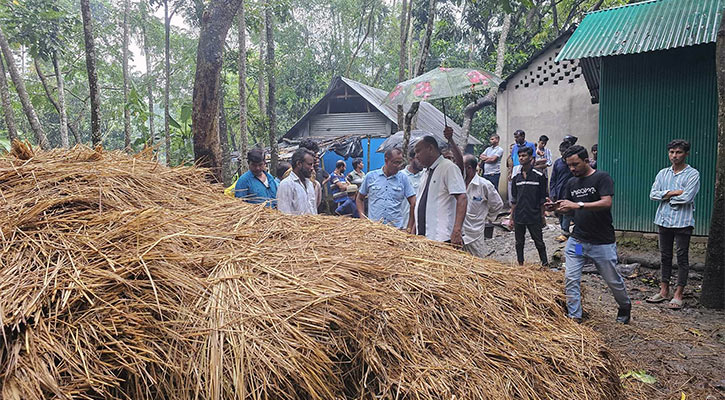 খড়ের গাদায় চাপা পড়ে মা ও দুই সন্তান নিহত