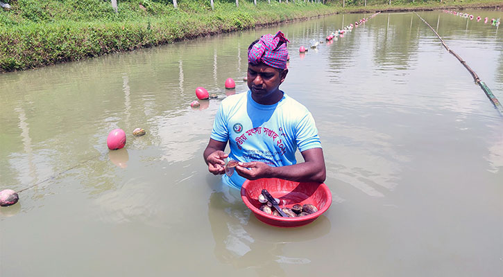 মুক্তা চাষে সফল পিএইচডি ডিগ্রিধারী নজরুল