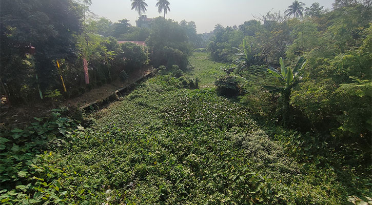 ইছামতী নদী উদ্ধারে একনেকে প্রকল্প অনুমোদন